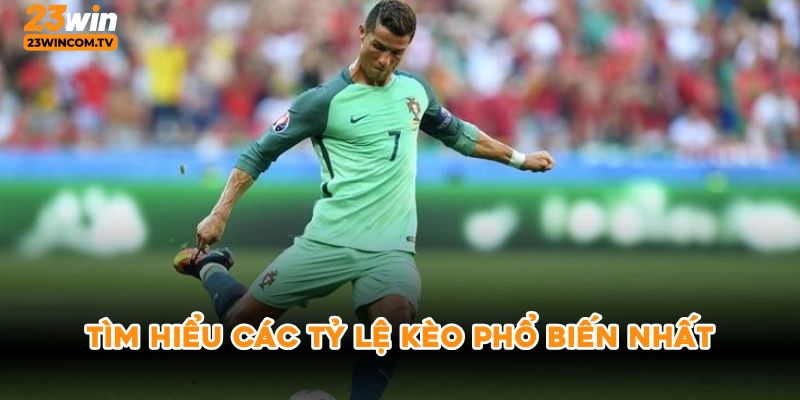 Tìm hiểu các tỷ lệ kèo phổ biến nhất