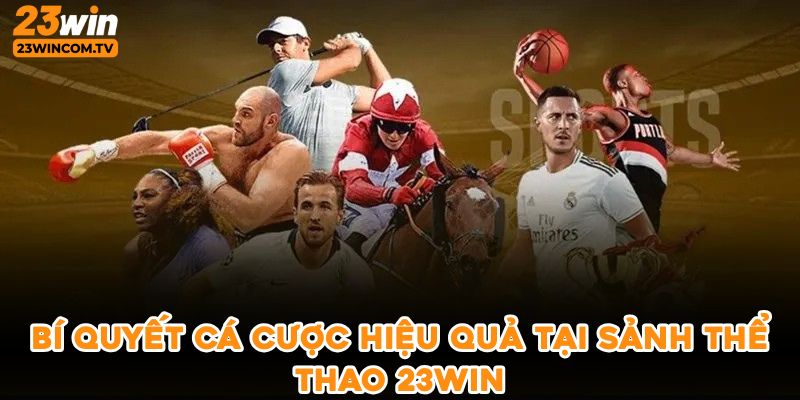 Bí quyết cá cược hiệu quả tại sảnh thể thao 23win