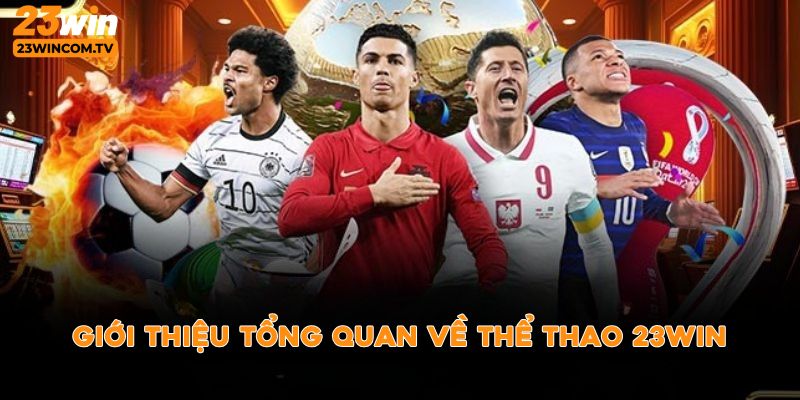 Giới thiệu tổng quan về thể thao 23win