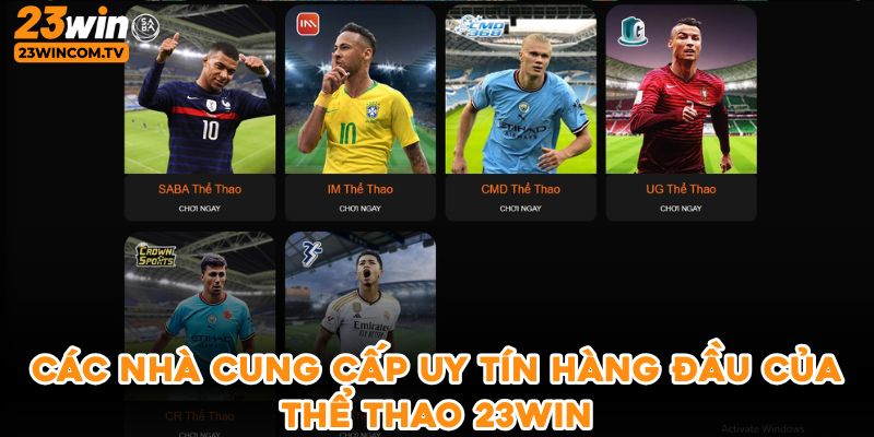 Các nhà cung cấp uy tín hàng đầu của thể thao 23win